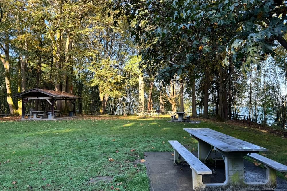 Picnic shelter and tables in grassy area.