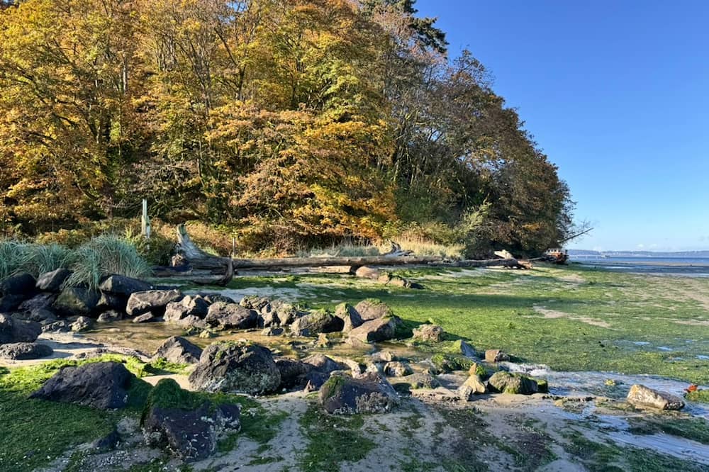 There is a small stream that runs onto the beach that you must cross in order to access the waterline.