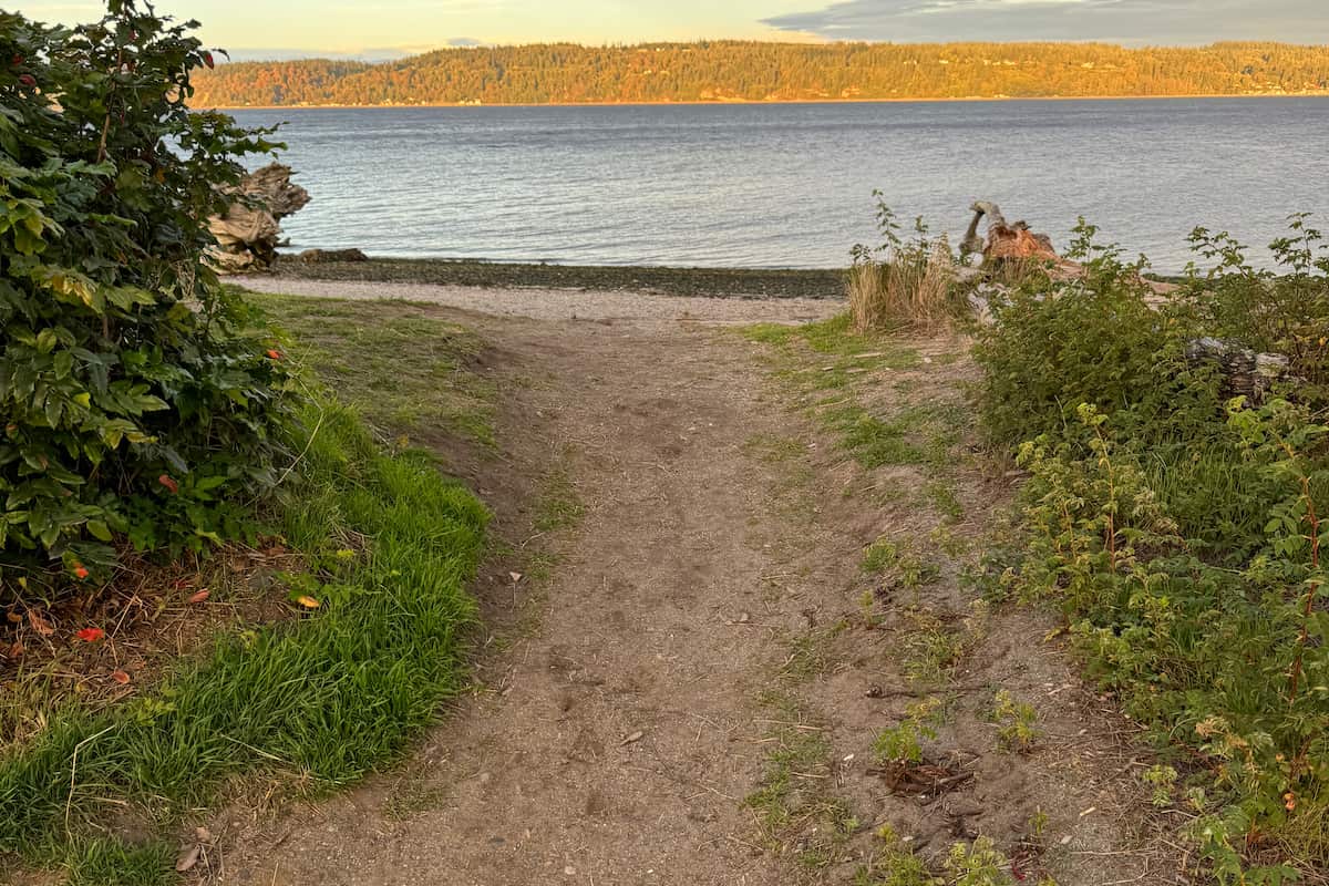 Beach wheelchair accessible pathway between logs onto the beach.