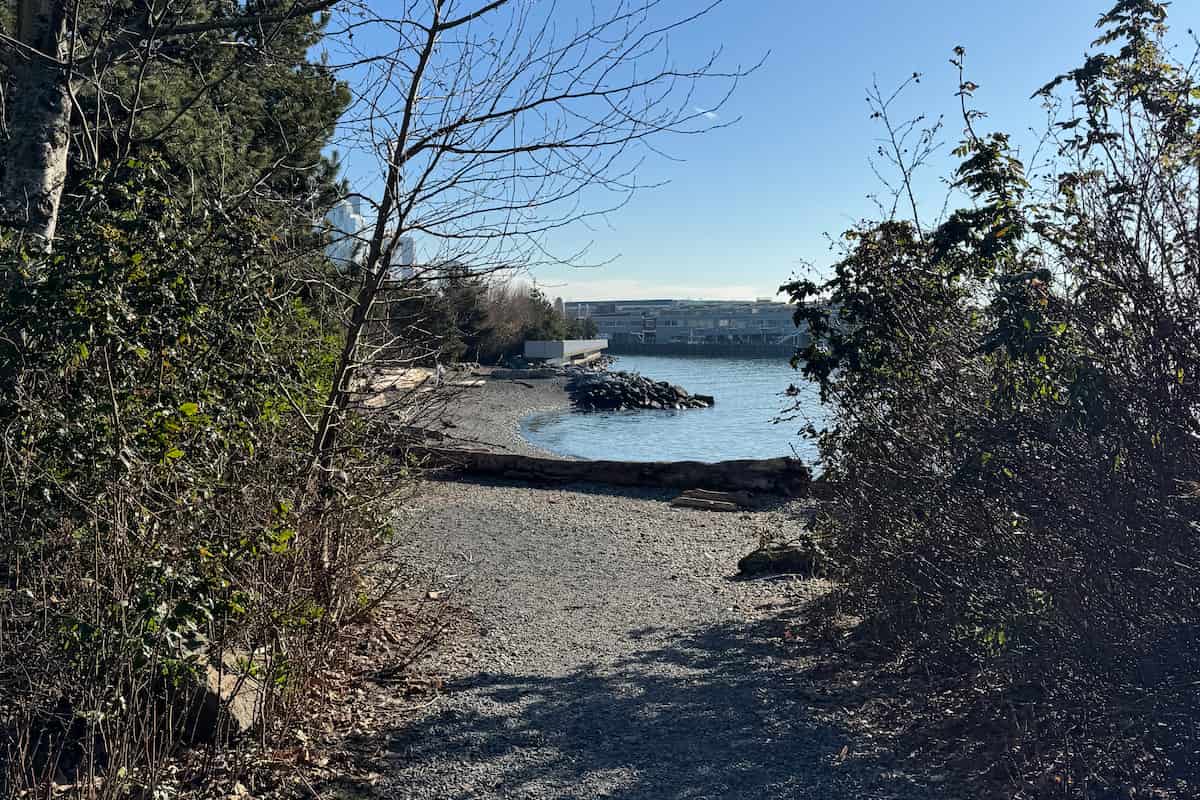 Gravel pathway onto the pocket beach.